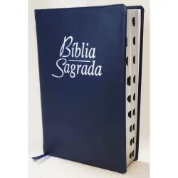 Bíblia sagrada promoção letra gigante com harpa