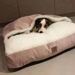 Cama para Cachorros e Gatos Cave com coberta G 70x70