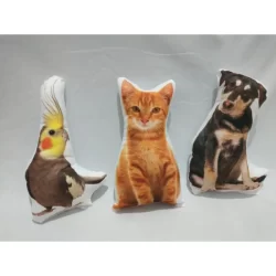 Almofada Pet Personalizada com Gato, Cachorro, passarinho o que desejar