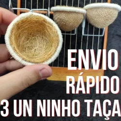 Kit 3 Un Ninho Taça pra Esquentar Coleiro - Com Suporte