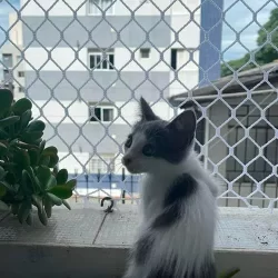 Kit Malha 3x3 Rede Tela de Proteção 1.30X1.60 Para Gatos, Pássaros e Crianças (1.60x1.30)