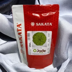 Sementes Peletizadas de Alface Crespa Jade Sakata FRACIONADAS