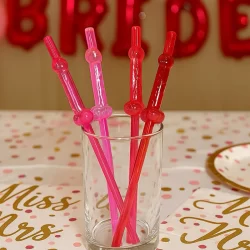 08 Canudo Acrilico Divertido Despedida de Solteira Pintinho Sortido Rosa Vermelho
