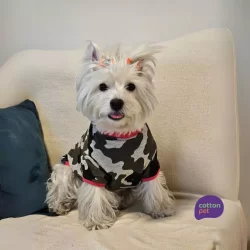 Roupa pet com estampa e detalhes em rosa neon