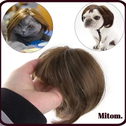 MITOM Perucas Para Animais De Estimação , Adereços De Cosplay Fotografia , Fantasia Suprimentos Cachorro , Gato , Cabelo