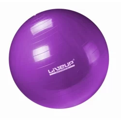 Bola Suíça de Pilates 55cm