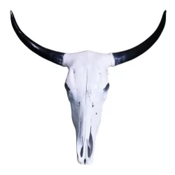 Cabeça De Boi Cranio Caveira Natural Promoção Especial Luxo