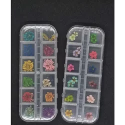 Kit Cartela Com 12 Flores Secas Para Decoracao De Unhas Flor Com 12 Cores