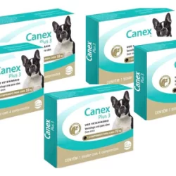 Kit 5 Vermífugo Ceva Canex Plus 3 para Cães - 4 Comprimidos