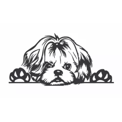 Adesivo Shitzu Shih Tzu Cachorro Espiando Moto Carro