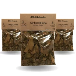 3 Pacotes Chá de Ginkgo Biloba | Alta Qualidade | 100% Natural para Cha Envio Imediato