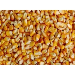 10kg Alimento Para Galinhas Aves Porcos Milho Grão Inteiro