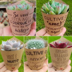 Kit de 100 Rótulos Personalizados para suculentas lembrancinha casamento batizado aniversario, empresa