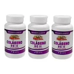 kit 3 Colageno tipo 2 90 caps 500mg