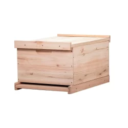 Caixa para Abelhas Langstroth Eucalipto Ninho 24cm sem arame