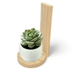 KIT 6 Prateleiras decorativas suspensa nicho de parede suporte de madeira pinus para vasos suculenta