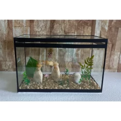 Aquário Beteira Retangular Decorada 8 Litros (até a borda) Peixe Betta ornamentação exclusiva