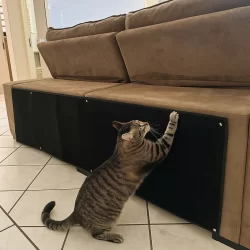 Arranhador Carpete Premium Grande 200x50 para Gato Protetor para Sofá Cama Box