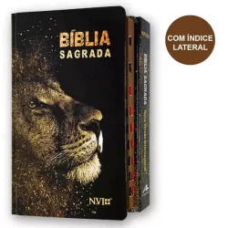 Bíblia Sagrada Slim NVI Capa Dura Leão Majestoso Bíblia Jovem Novo Convertido Evangelização