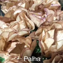 24 Forminhas PALHA Para Doces Finos, Para Casamento Aniversários, Debutantes e Decoração MOD. CELEBRARE