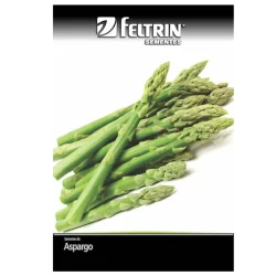 Sementes de Aspargo Nilo FELTRIN