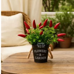 Arranjo Pimenta Com Vaso Gardem Preto Decorativo Com alças de corda Enfeite Enfeite