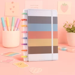 Caderno De Discos Escola 1 Matéria A5 Pautado 80 Folha Capa Dura Inteligente Pastel Papelaria Fofa