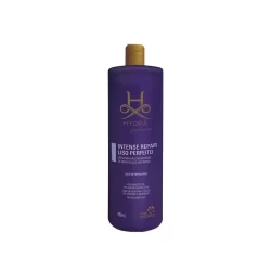 Mascara Hydra Intense Repair Liso Perfeito Pet Society 480ml