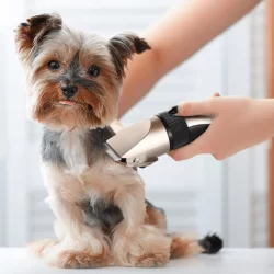 Maquina Para Tosar Cachorro Profissional Pet De Corte Cabelo Pet Profissional Máquina