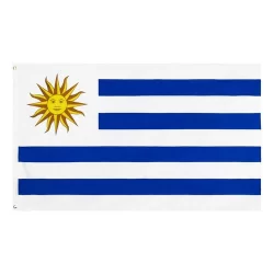 Bandeira Uruguai Oficial Mastro 90x60 Cm Cores Fortes