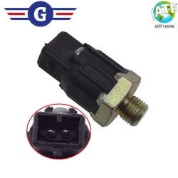 Sensor Detonação Clio Megane Scenic Kangoo Logan 820068068