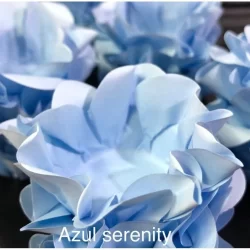 40 Forminhas Para Doces Finos Style Azul Serenite (Ultra Azul Aqua)  (ULTRAFEST)