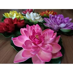Kit 6 Flor De Lótus Vitória Régia Flutuante Aquática Tam M