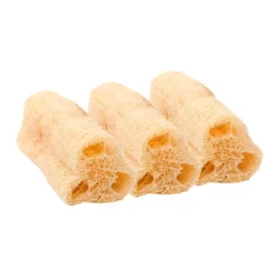 Kit 20 Esponja Bucha Vegetal Natural Banho Esfoliação Promoção