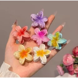 Kit 2/6/12 Pcs Presilha Piranha Flor De Cabelo Mini Pequeno Acrilico 4cm Verão Aestheric Grampo Summer Praia